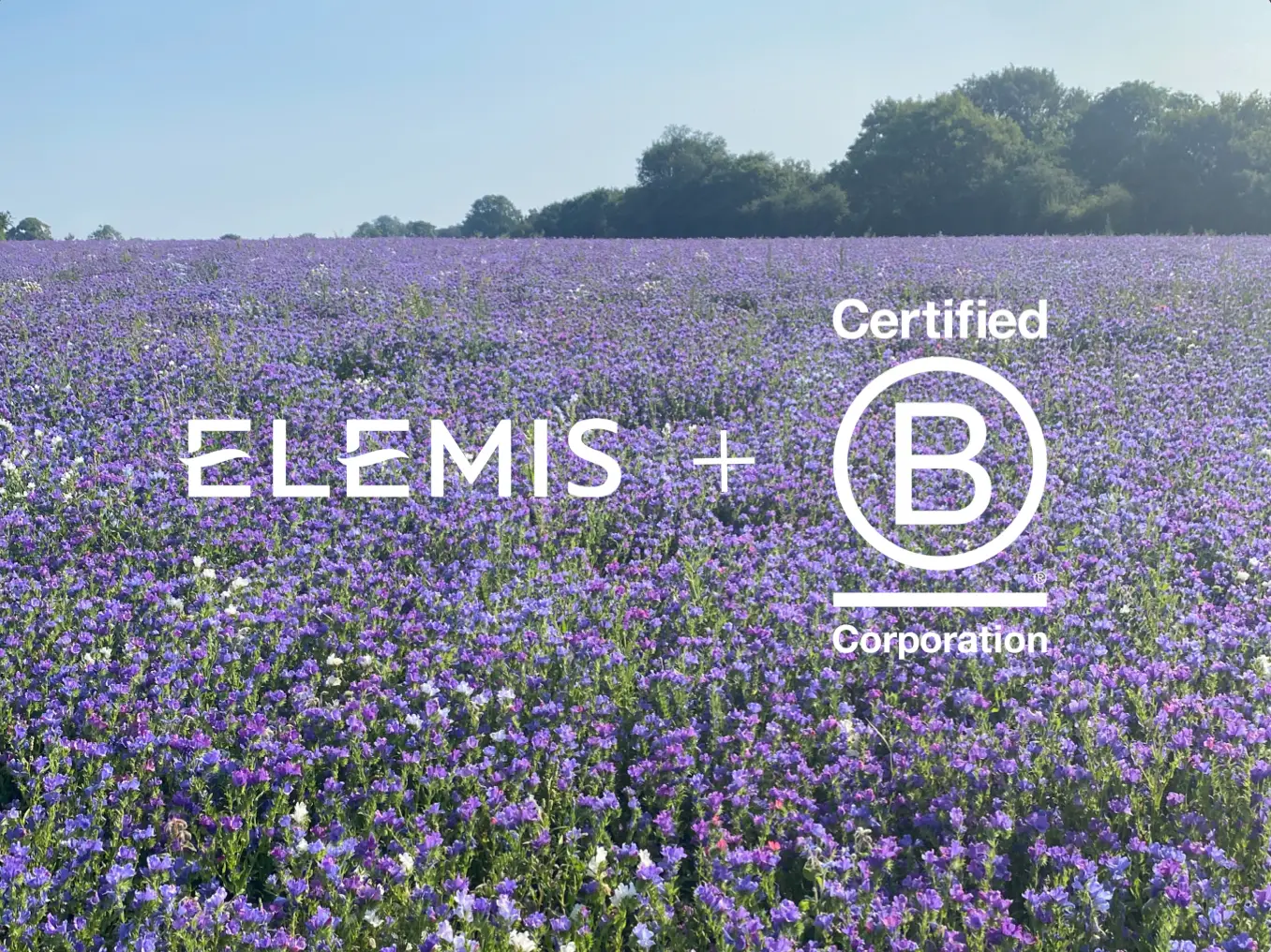 ORGULLOSOS DE ESTAR CERTIFICADOS POR B CORP