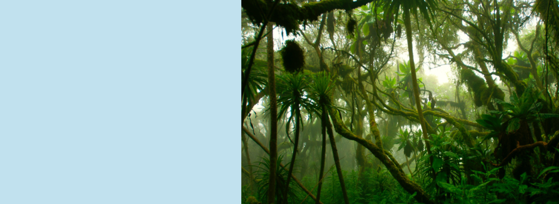 biodiversidad